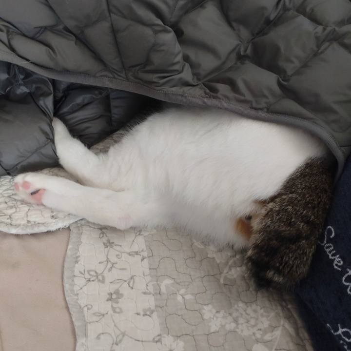 2d7a77fe f3bf 401a a0b5 b78a7b3b344a 1703995942544