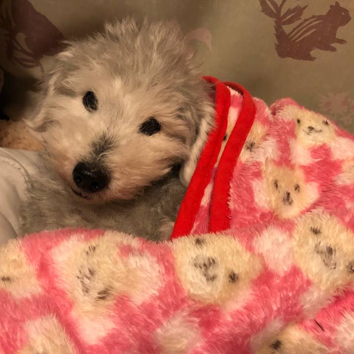 2d7a9f06 e9f1 43a4 8815 03e82e274cc2 1644192235954