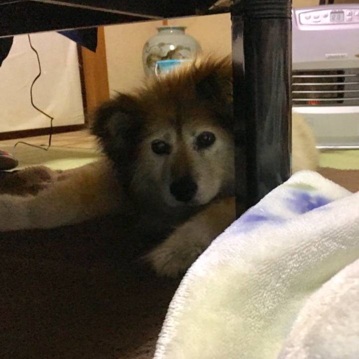 2d7aa99e fea1 4b15 b78c 056a959a81a4 1604841244177