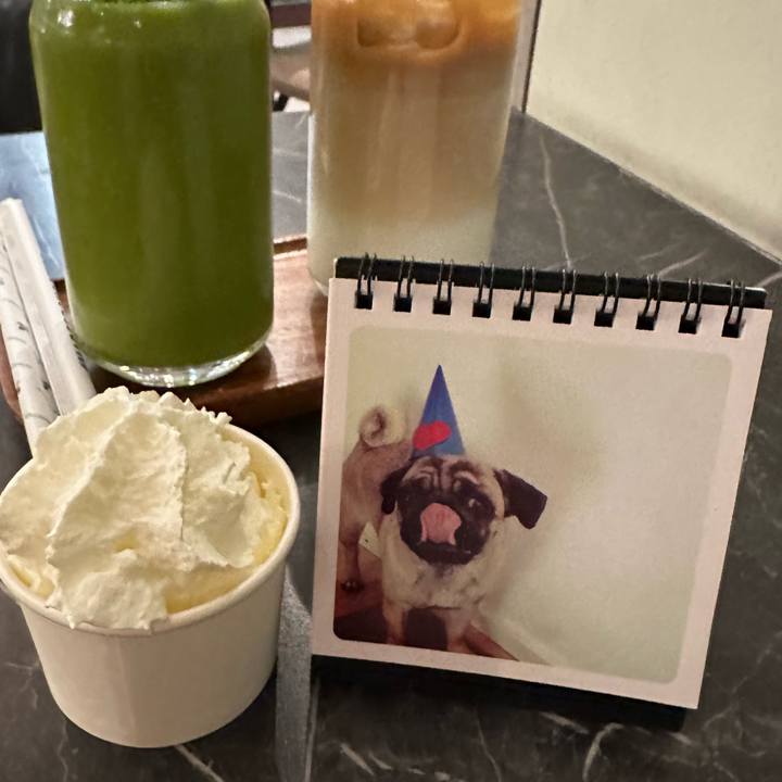 2d7abdff c8f8 4396 8d47 2265de1fc9f7 1771518781159