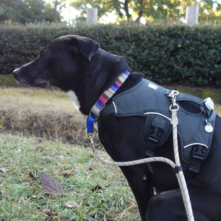 2d7ac39f 13bc 4626 9131 76ab1ca6c1a9 1637192421006