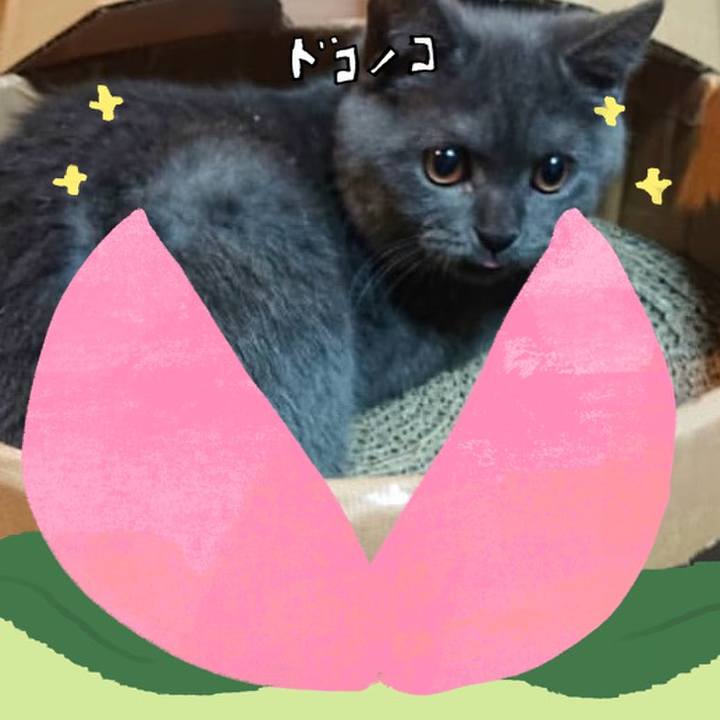 2d7aca0d cd8c 4dbc bf4c d0ed441e1f6f 1772261188387