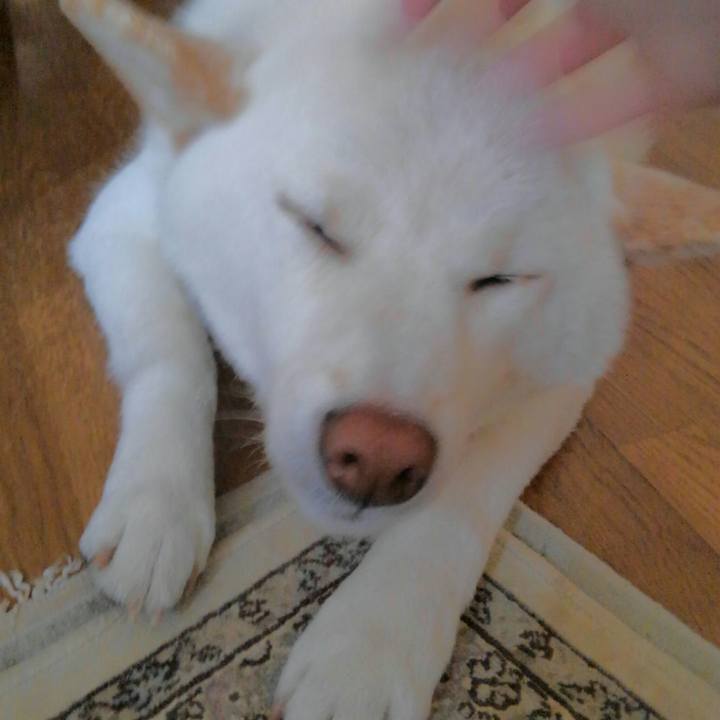 2d7ad062 5015 480f b0bc 3d9d68173439 1554803673614