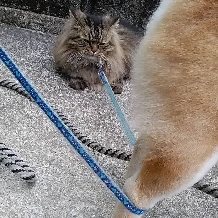 2d7b0215 a1b5 438c 8bc5 285ed15a39a4 1653013983299