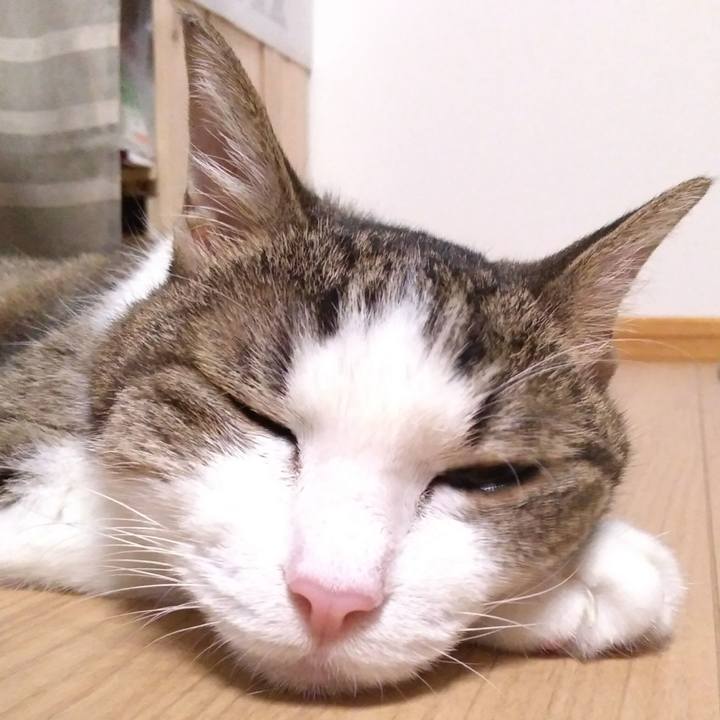 2d7b1af0 fa6f 4579 a6c3 fcc04946e4c0 1534511764539