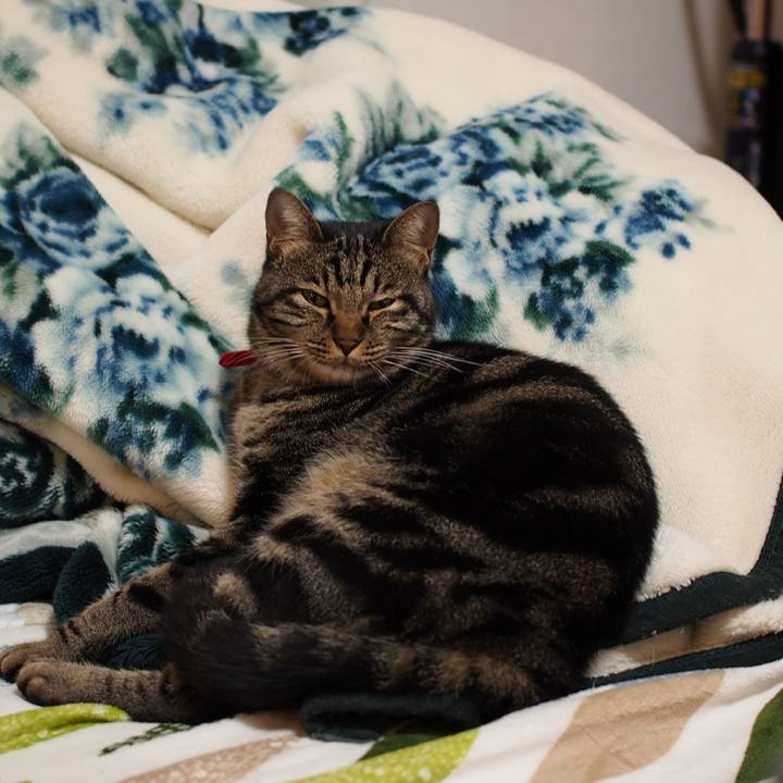 2d7b23bf 7877 480f baa8 cefe4b227b16 1573547594334