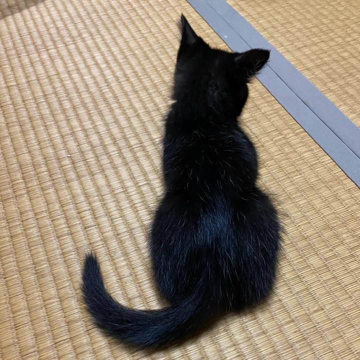 2d7b4677 04b1 4028 9d42 cf2b0d336642 1763986857262