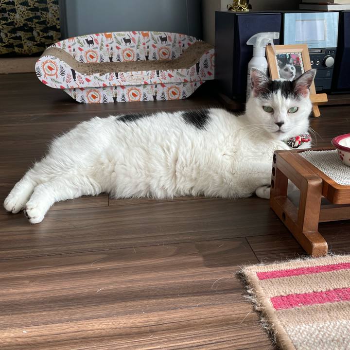 2d7b49b6 d96e 459a a549 136230c70cc6 1713076745151