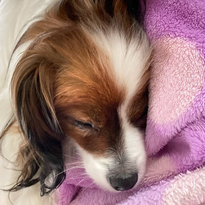 2d7b7699 b10d 49c7 8b1e 90c489ced1af 1632035772432