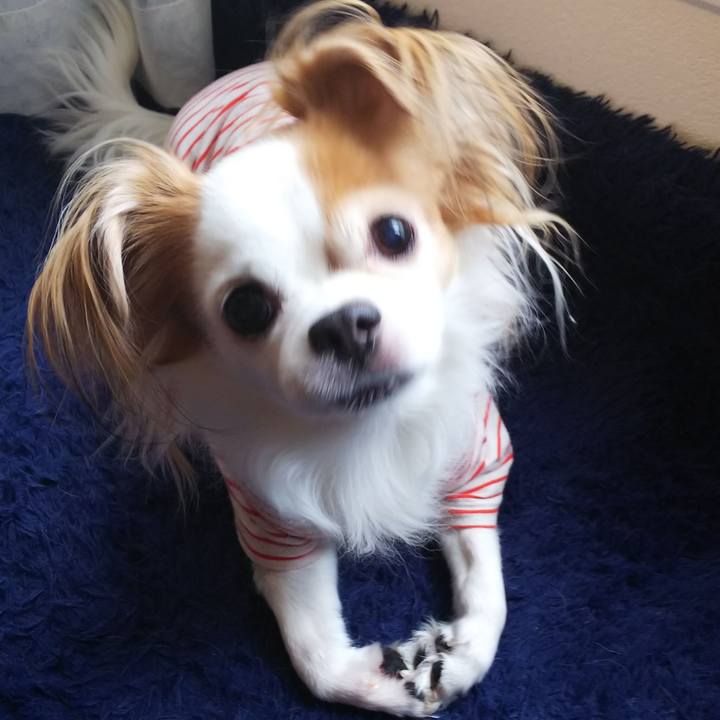 2d7bc037 048e 4d59 bbe0 930a0be38c3e 1740229950100