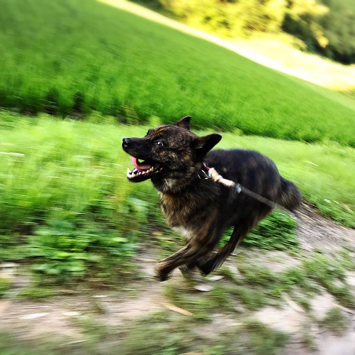 2d7bf9f3 f4c8 4c44 98a2 cf0a179d568b 1530525250060