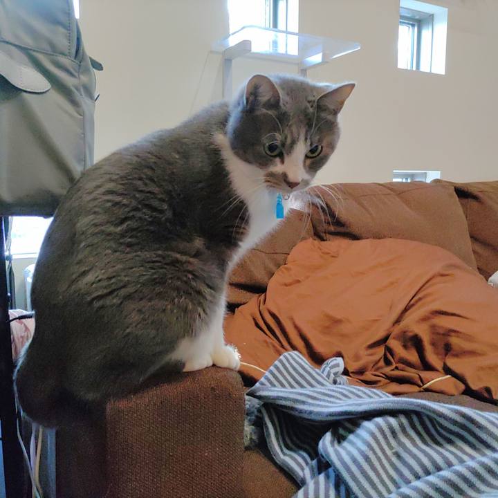 2d7c19b8 c6a2 4db7 a8b5 2a731814b569 1673572361974