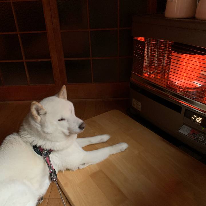 2d7c3087 859f 4ce3 9ae5 d392ca45527e 1573167013236