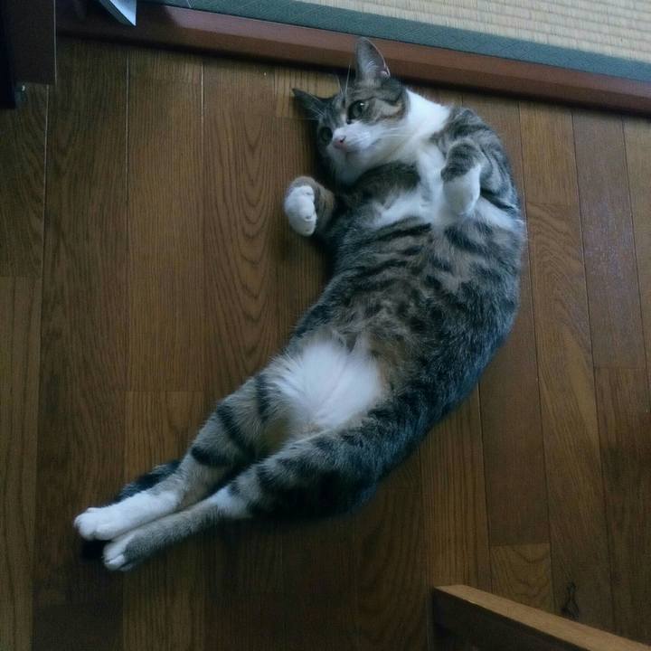 2d7c6049 a423 4805 b107 43a99eea40e9 1533163466428