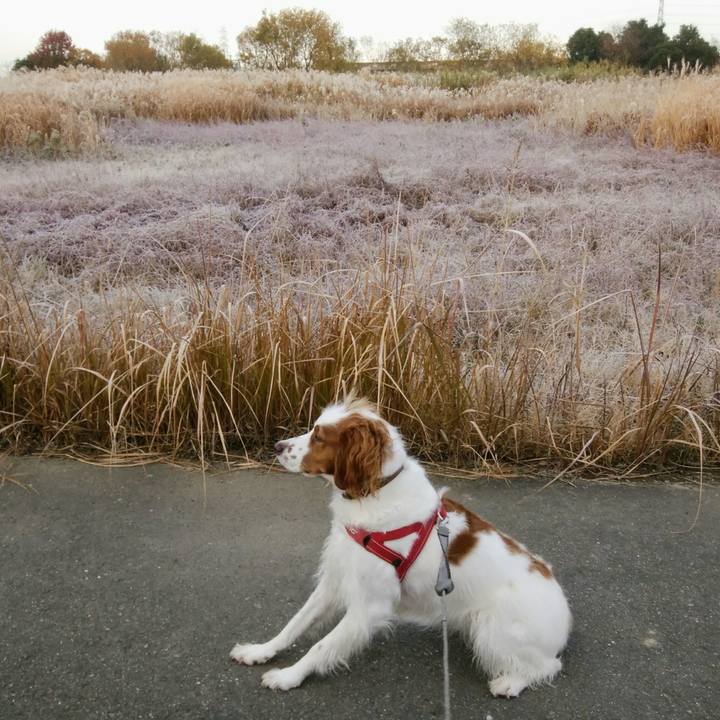 2d7c6cba f10b 44be 9b2b 432456d62bc2 1544486757447