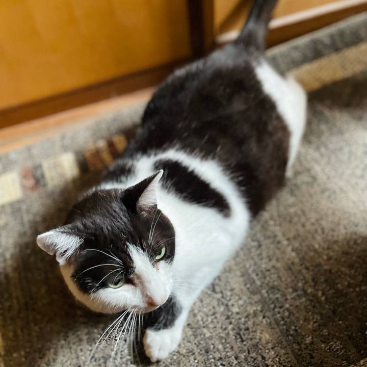 2d7c78e5 867a 414a 8f78 84a1066f5320 1662514855263