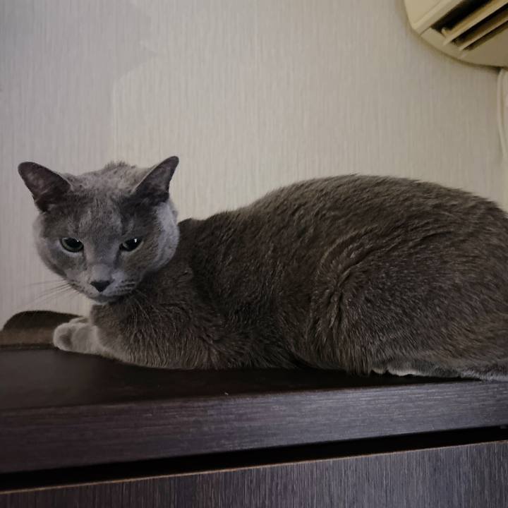 2d7c8a01 aabc 452b 9f85 d177db2f0e4b 1699827292863