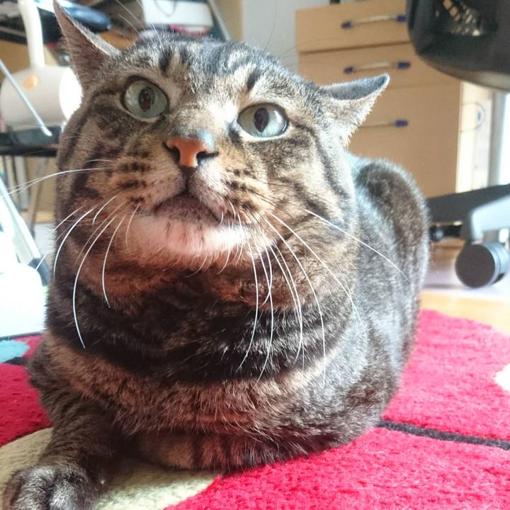 2d7c99a7 1ed3 4377 aa1a 151f2775649c 1528062330189