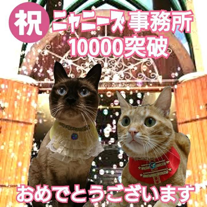 2d7ce4ca 8272 4d43 8041 5bc5b928e2b7 1535021050956