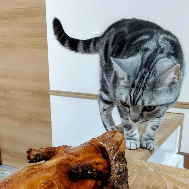 2d7d0cd0 5e91 4b10 aa87 099d92b1262c 1658624741886