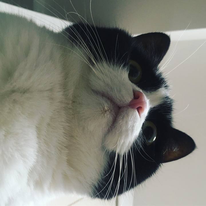 2d7d0d78 9df4 4b56 a2f5 e5847bd7723d 1607948868961