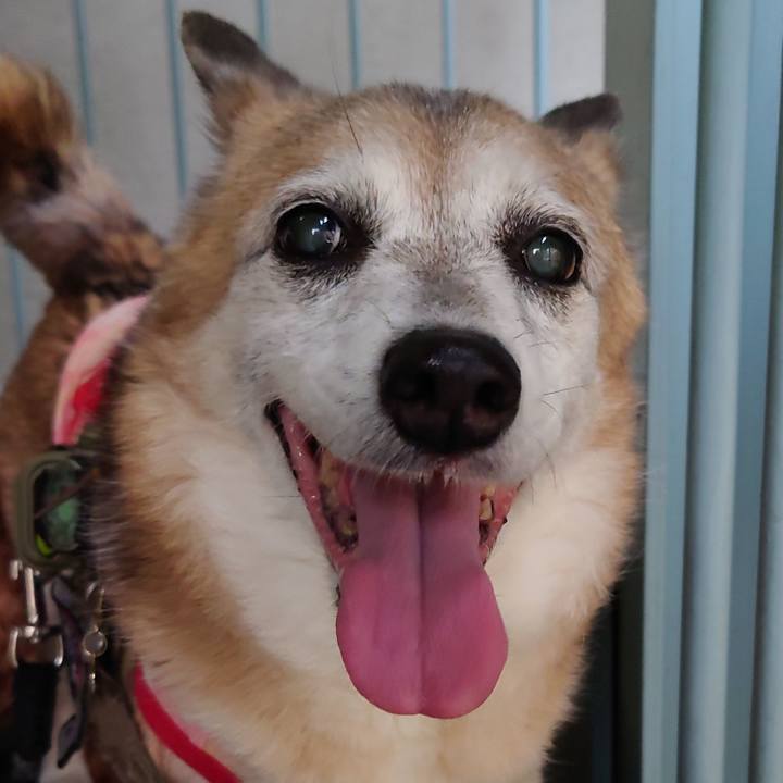 2d7d1848 b3da 4be3 a5c5 ff2c6c2fe9c3 1718460612899