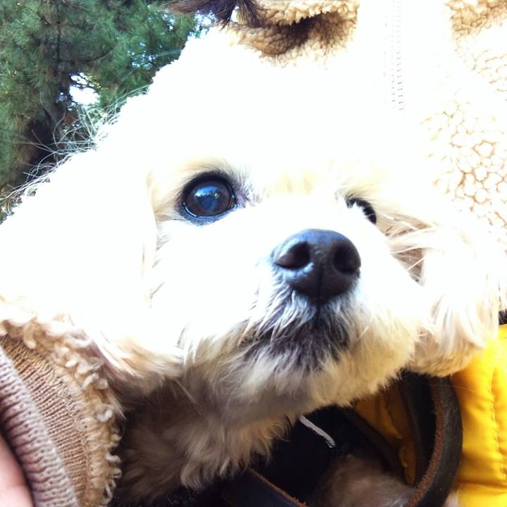 2d7d2717 d1b9 44c4 ace4 dc38847b44b3 1609486239307