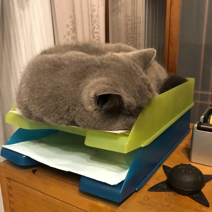 2d7d4edc bb53 45e1 bb2a 7c2d78869c6e 1610958787465