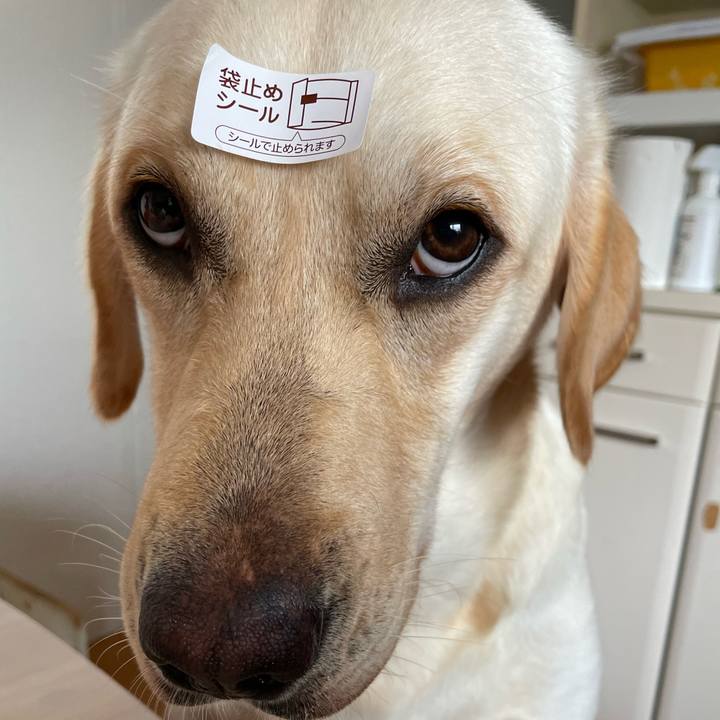 2d7d5be6 8d69 4d51 b599 24158412c815 1656043337682