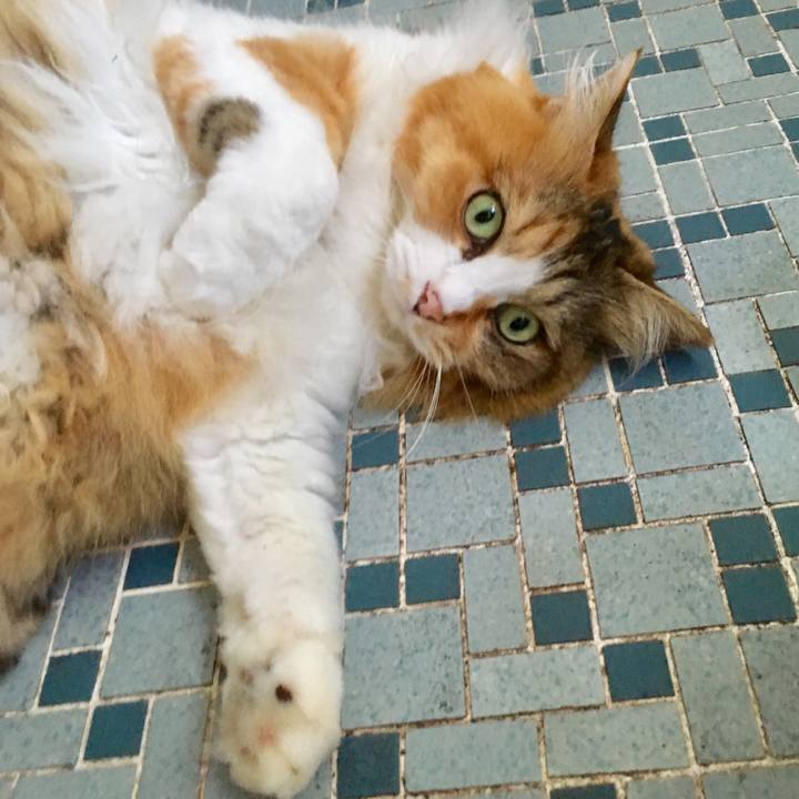 2d7d6302 c98c 49d0 8791 61fc489eb44f 1564991070288