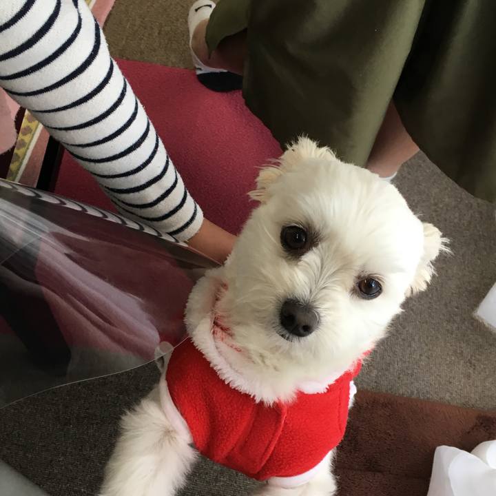 2d7d95c0 4bed 4a73 a6c3 3643bd974d88 1514038060041