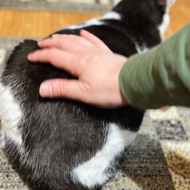 2d7d9fd5 6237 41a4 a039 3186354f15d2 1676252764770