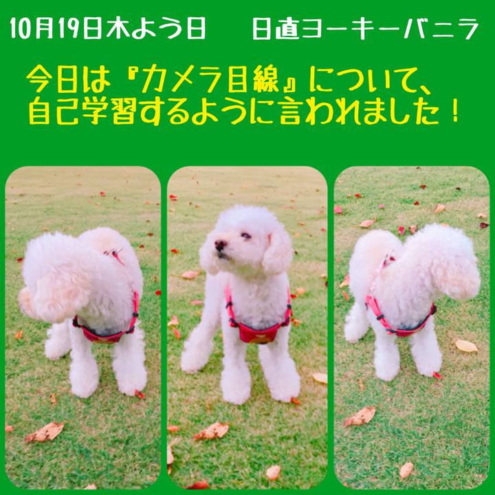 2d7db14a e9ec 4afb a8c4 63d9ee72cfdf 1508389347548