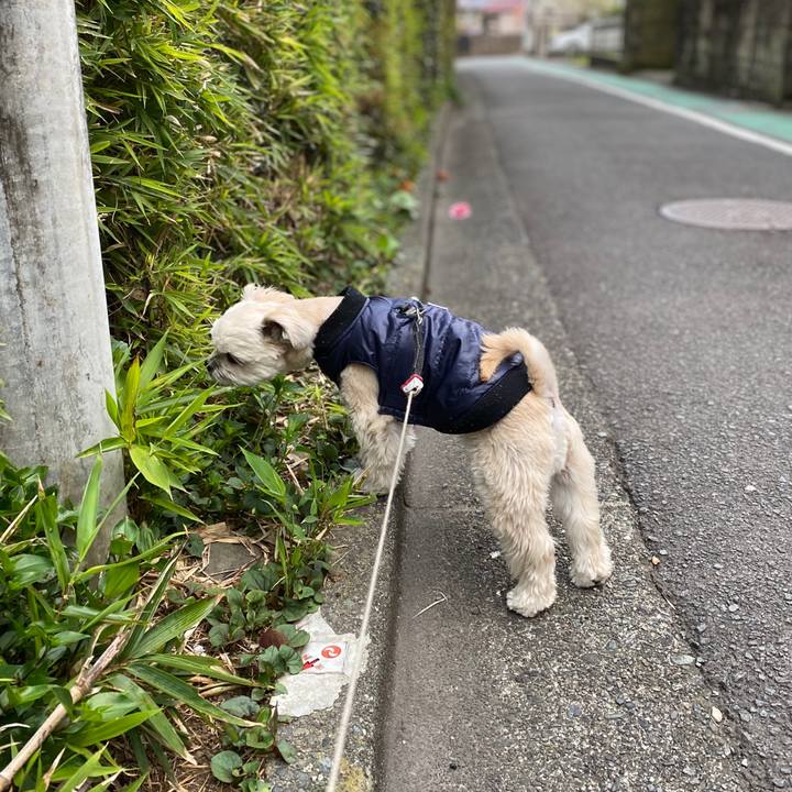 2d7dbd63 624a 4bf6 bc1e 76d4d15727c1 1584960667311