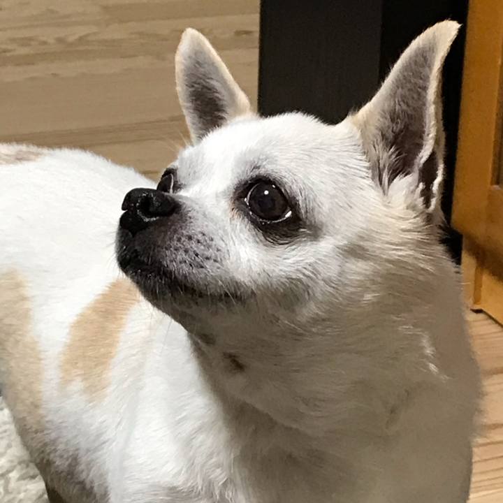 2d7df89f 0f7b 4425 8678 26f75bde0d90 1644023864714