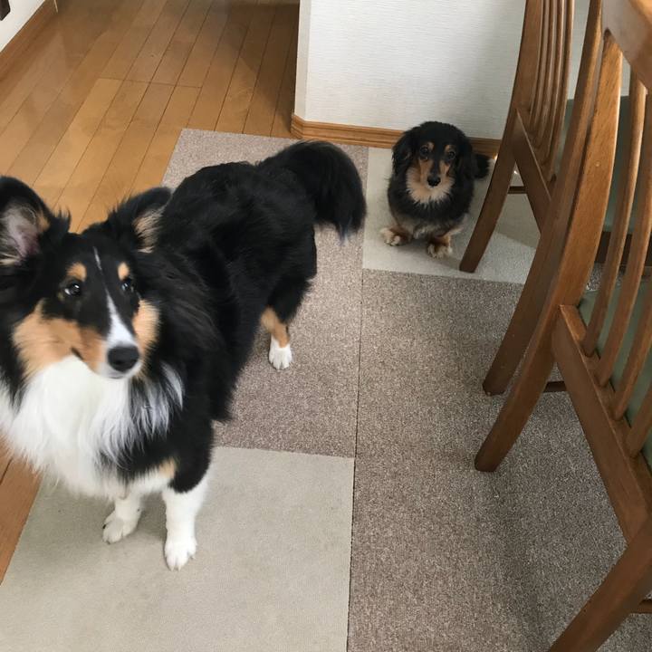 2d7e0b28 0a7b 4c3d 892f faca692ddd0c 1524260614607