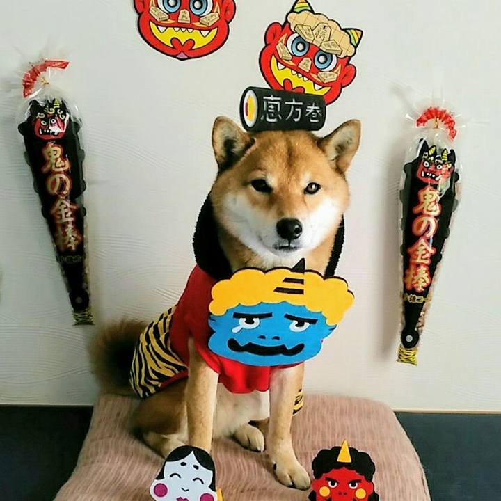 2d7e2b04 c84f 45b4 af03 1eb6a06f4dec 1549182228552