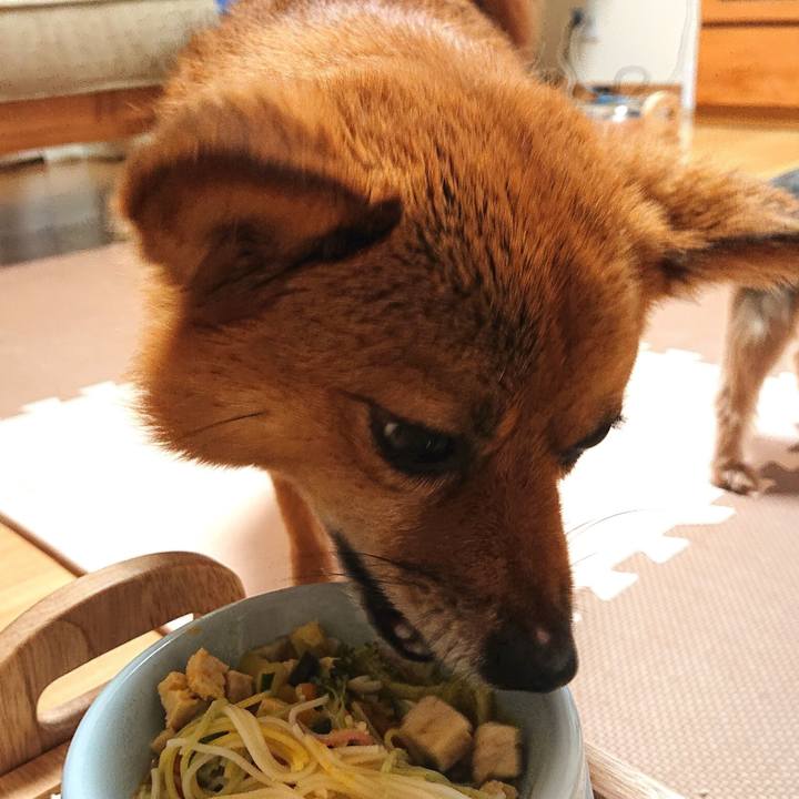 2d7e44c6 8b34 4394 89cf e69f45ab8bb1 1562499078410