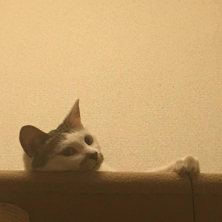 2d7e4e3a 9cf8 4a10 b707 cfb0dea20110 1534687159202