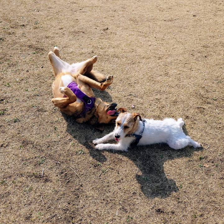 2d7e5f15 3187 418e b98e ad9b04050085 1742696757499