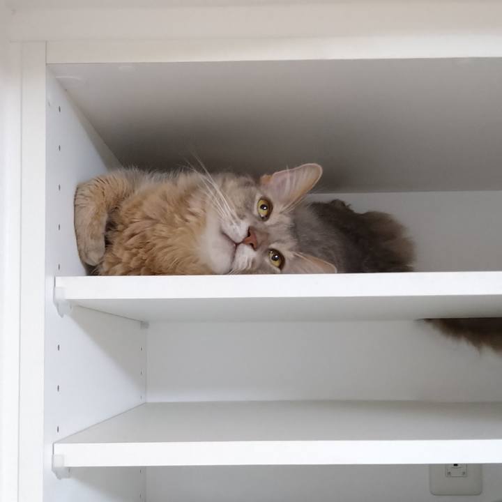 2d7e7208 aa8a 435b a976 7394269788bc 1626664088511