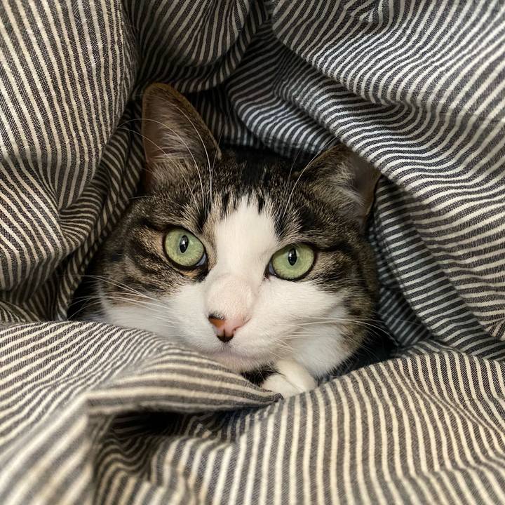 2d7e8b67 21f5 48c0 ae12 ed52cfa3b7b0 1609549946817