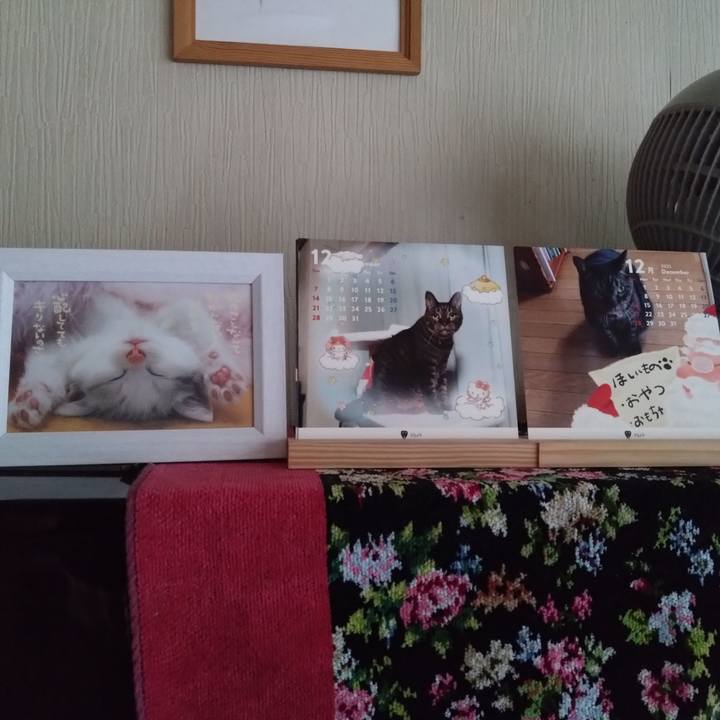 2d7e8d26 849b 4e3f aeec 3d6fb82e7203 1764540347904