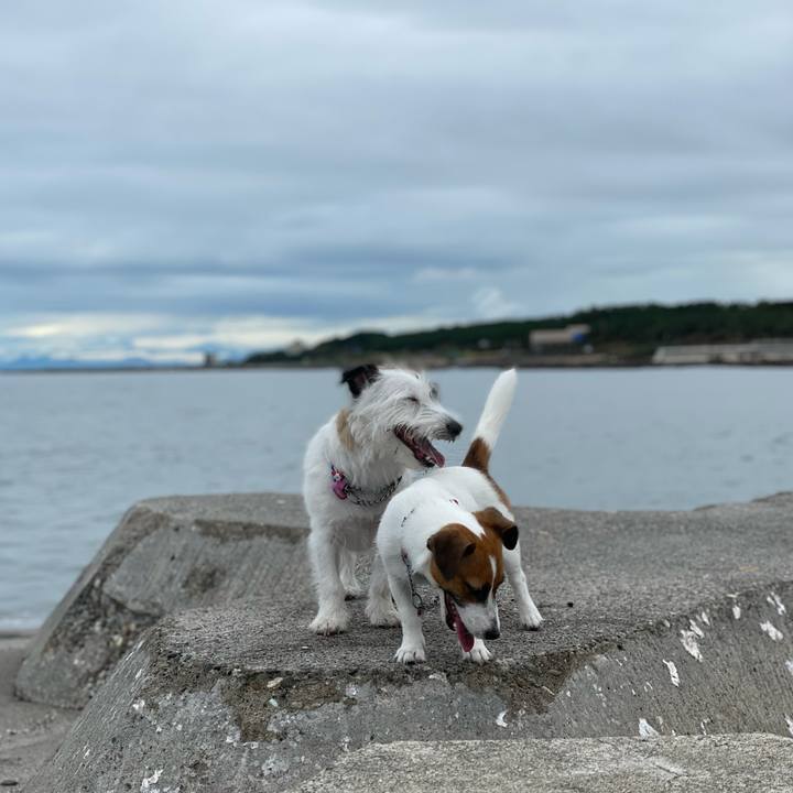 2d7eb016 0ed3 4a2a 9079 955daeb10c46 1628987235594