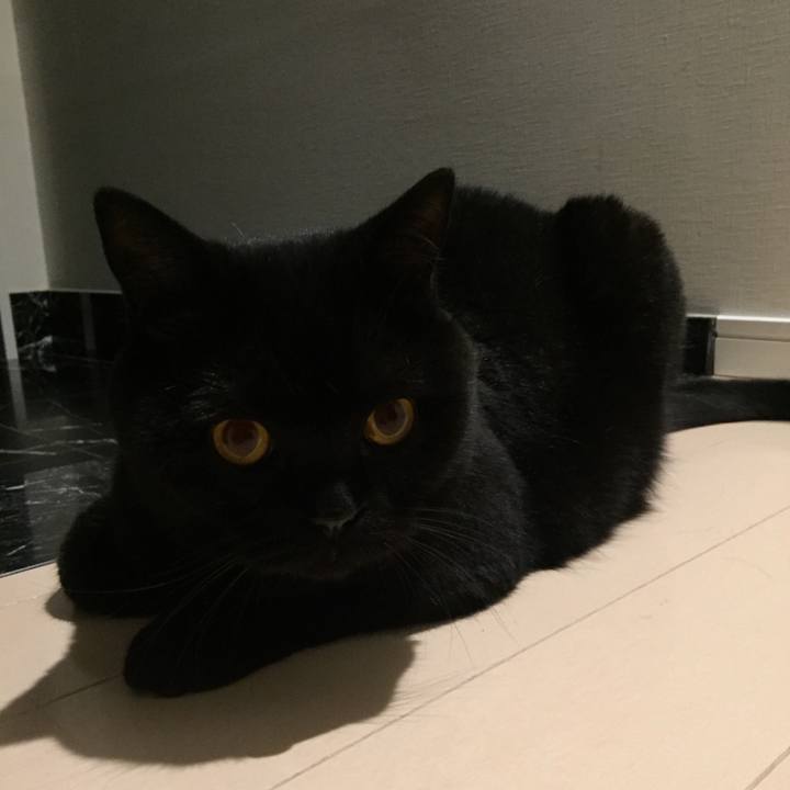 2d7eb016 a220 4f32 8dde 72c57469cd84 1594041615970