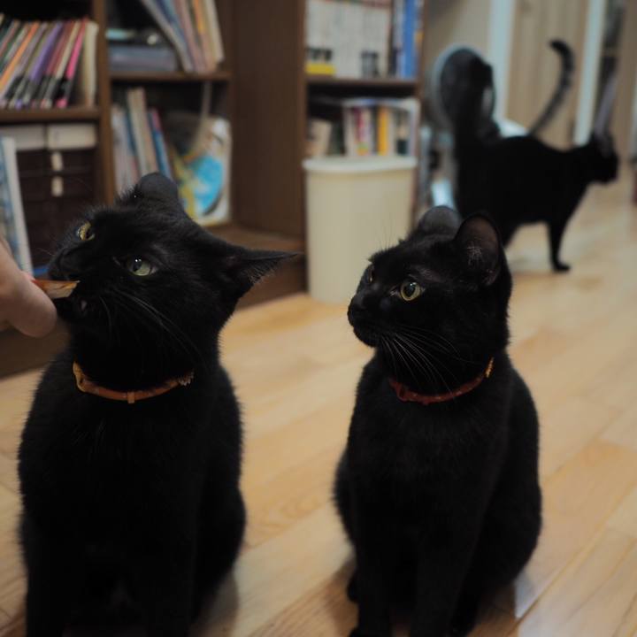 2d7ec161 b183 4a05 b9dd bee3e9e9ad34 1537018799930