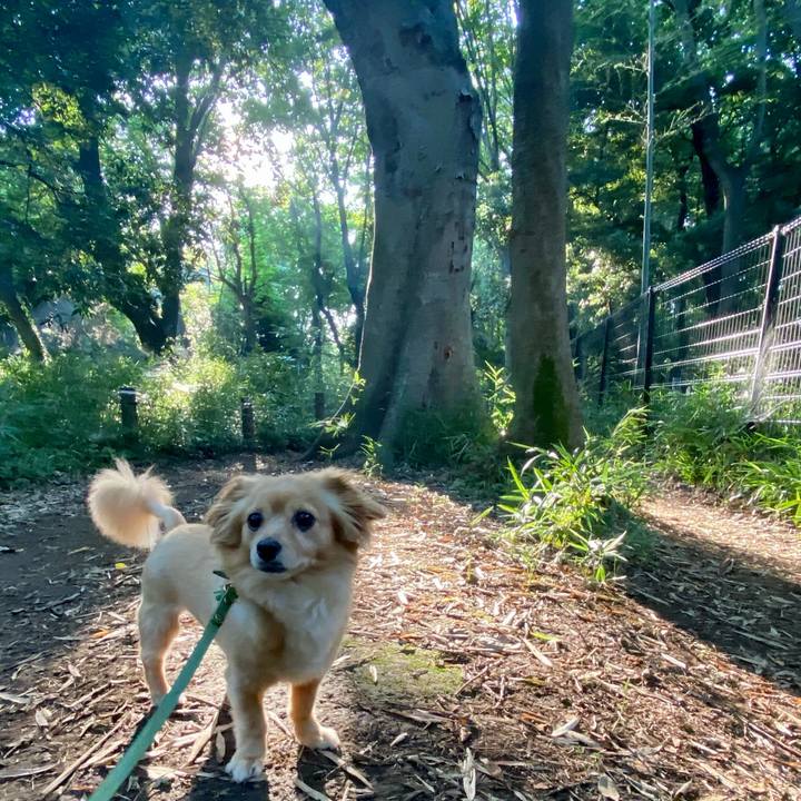 2d7eca08 9625 48f6 8c0d 5f4beebae6a3 1623193848562