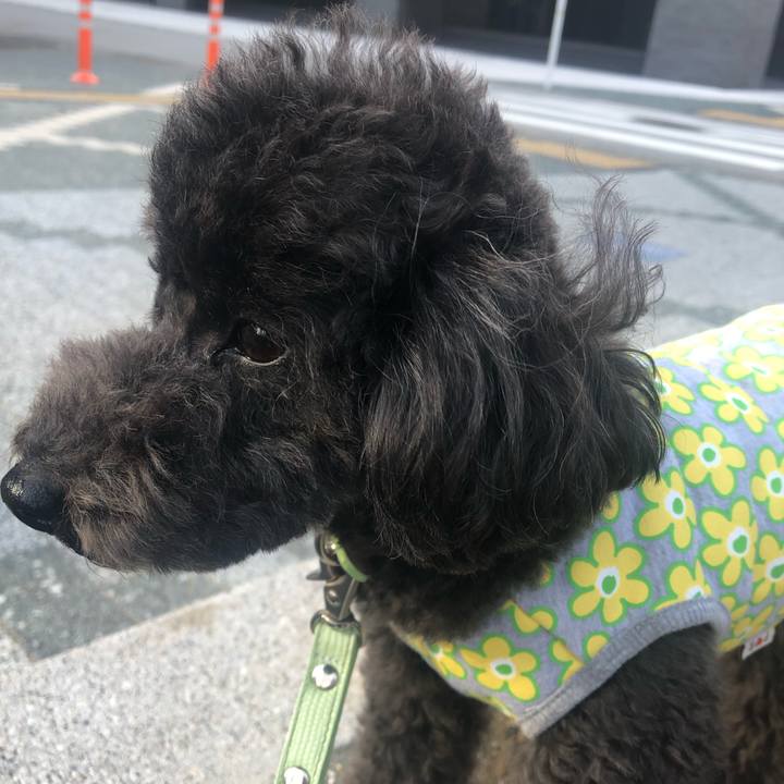 2d7f6206 fbac 4ae8 a79b ca812dde77df 1611990681485