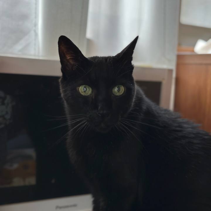 2d7f79c9 2dba 4299 a3d9 081e51847984 1689813359821