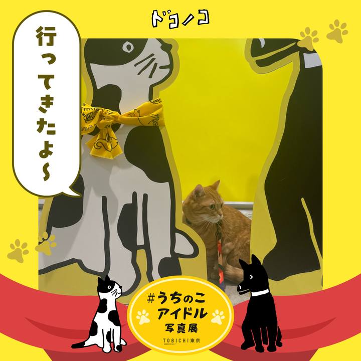 2d7f7e57 c855 4a43 a75c 5344f3ff66ce 1762177582256